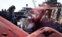 Industrial Garnet Sand Blasting USA